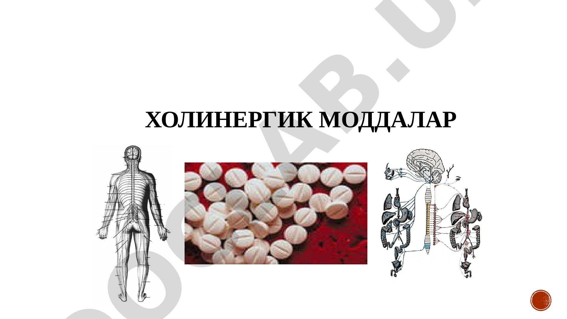 Холинергик моддалар
