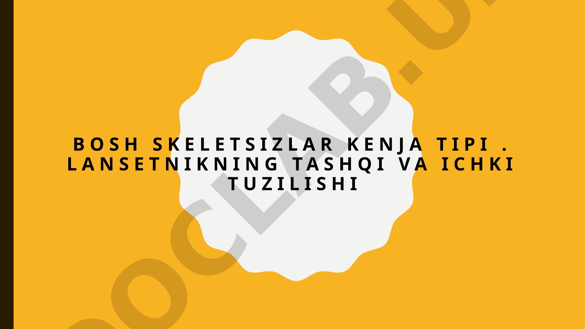 Bosh skeletsizlar kenja tipi. Lansetnikning tashqi va ichki tuzilishi