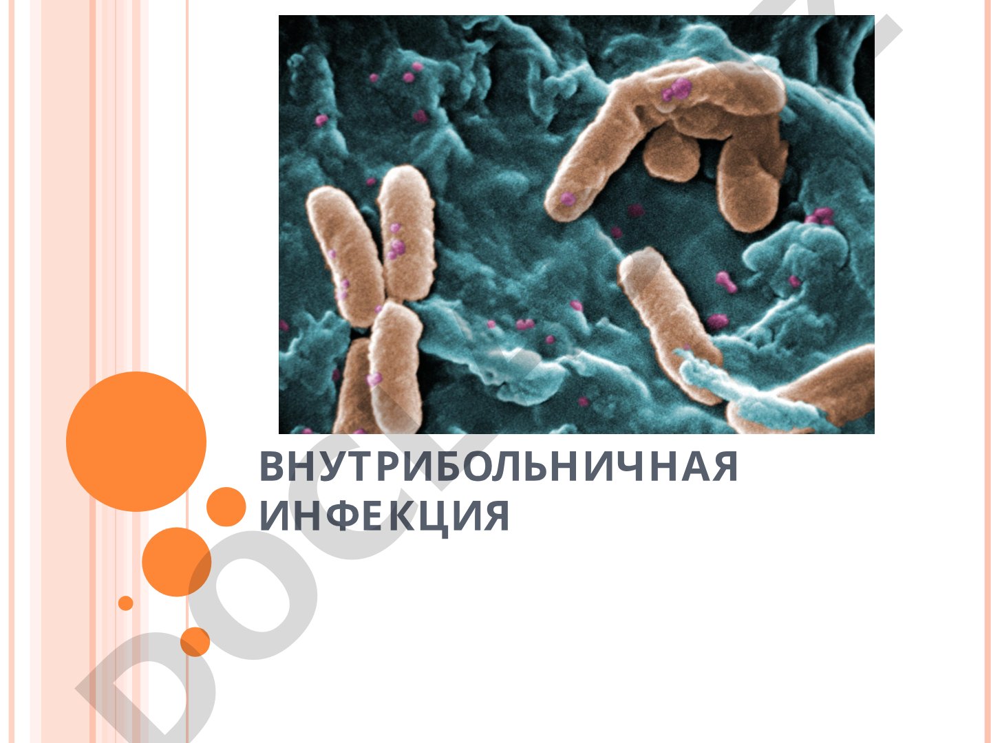 Понятие ВБИ, факторы риска, пути передачи и методы профилактики