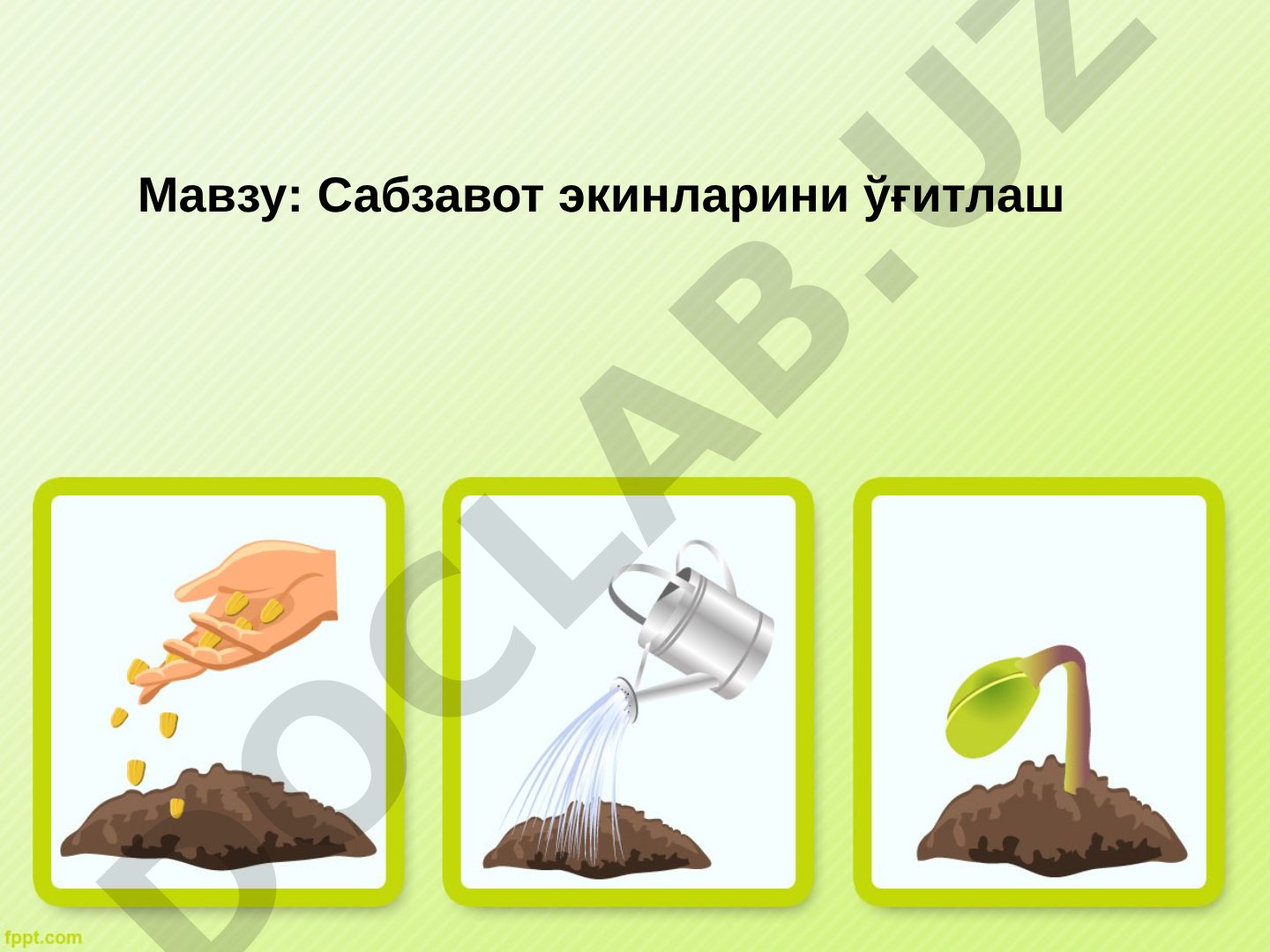 Сабзавот экинларини ўғитлаш