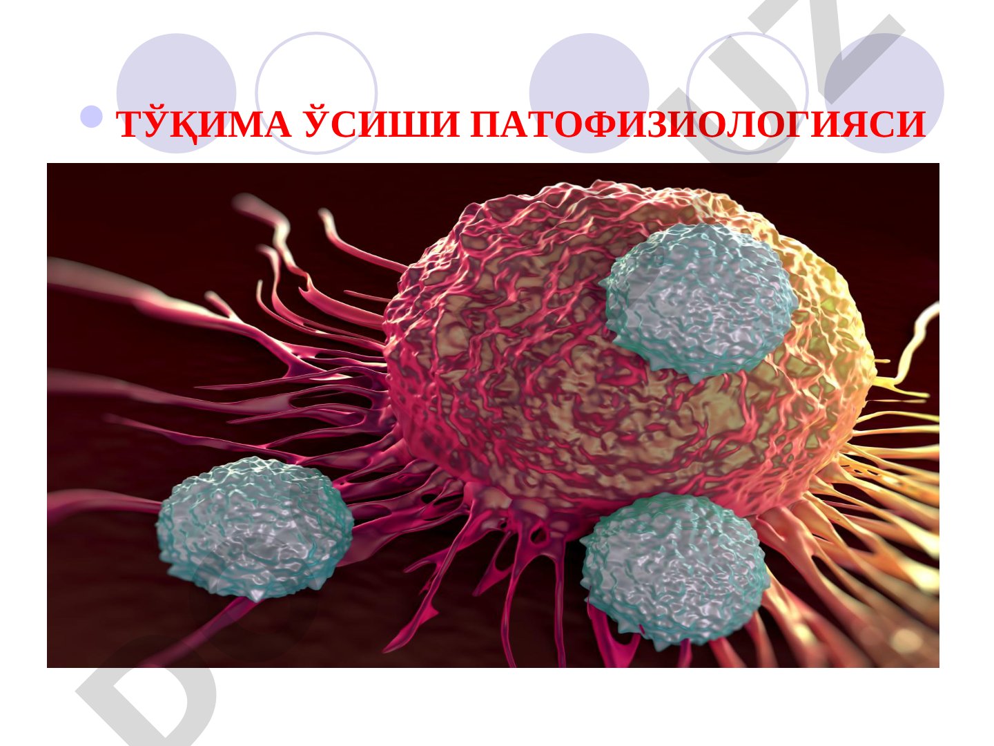 Тўқима ўсиши патофизиологияси