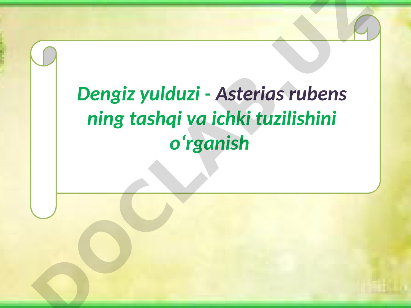 Dengiz yulduzi - Asterias rubens ning tashqi va ichki tuzilishini o‘rganish