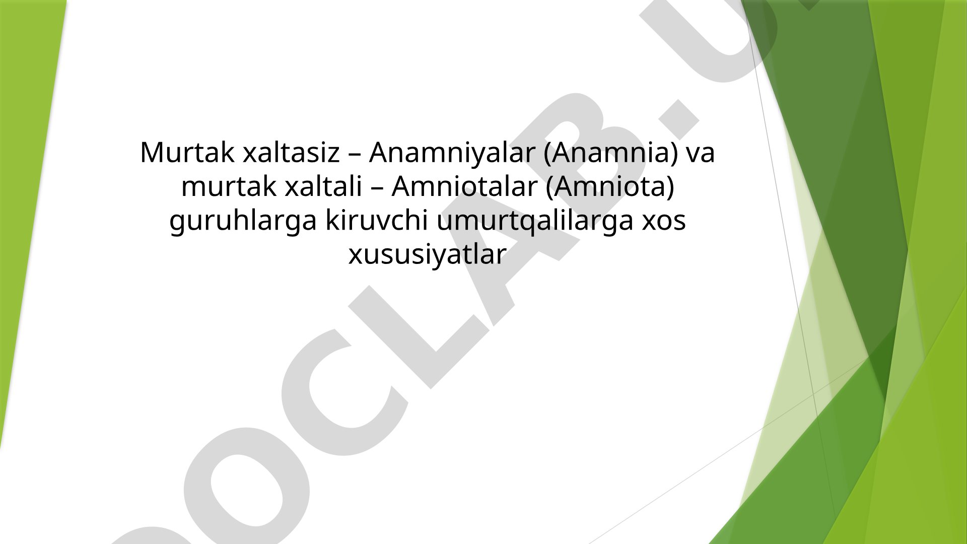 Murtak xaltasiz Anamniyalar va murtak xaltali Amniotalar xususiyatlari