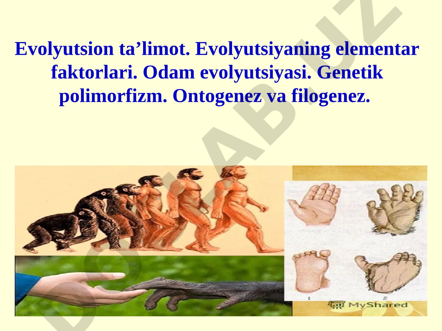 Evolyutsion ta'limot va odam evolyutsiyasi