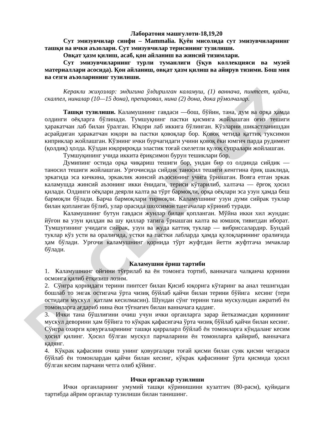 Сут эмизувчилар синфи – Маммалия