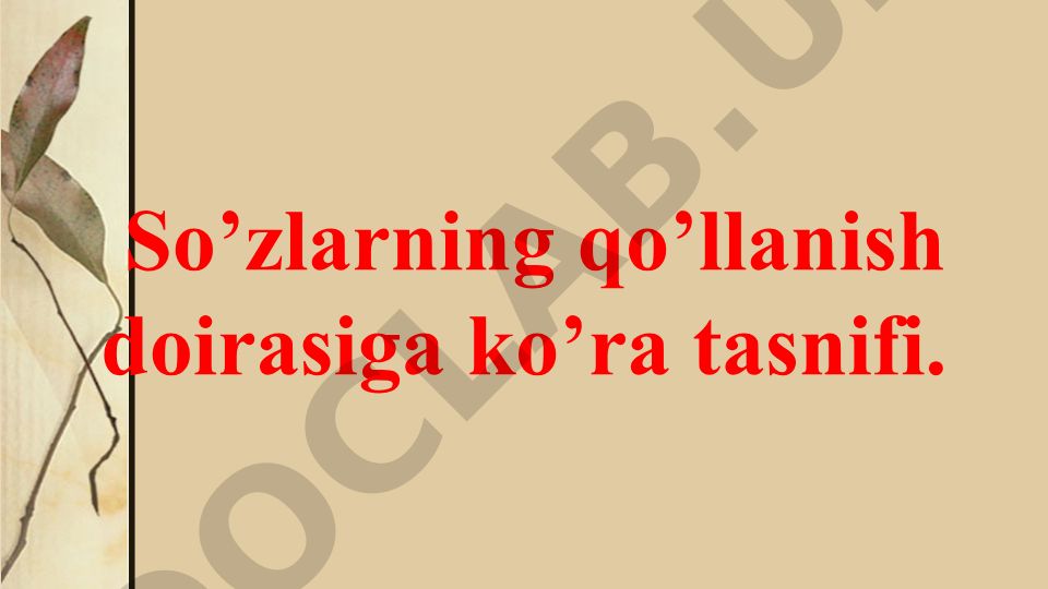 So'zlarning qo'llanish doirasiga ko'ra tasnifi