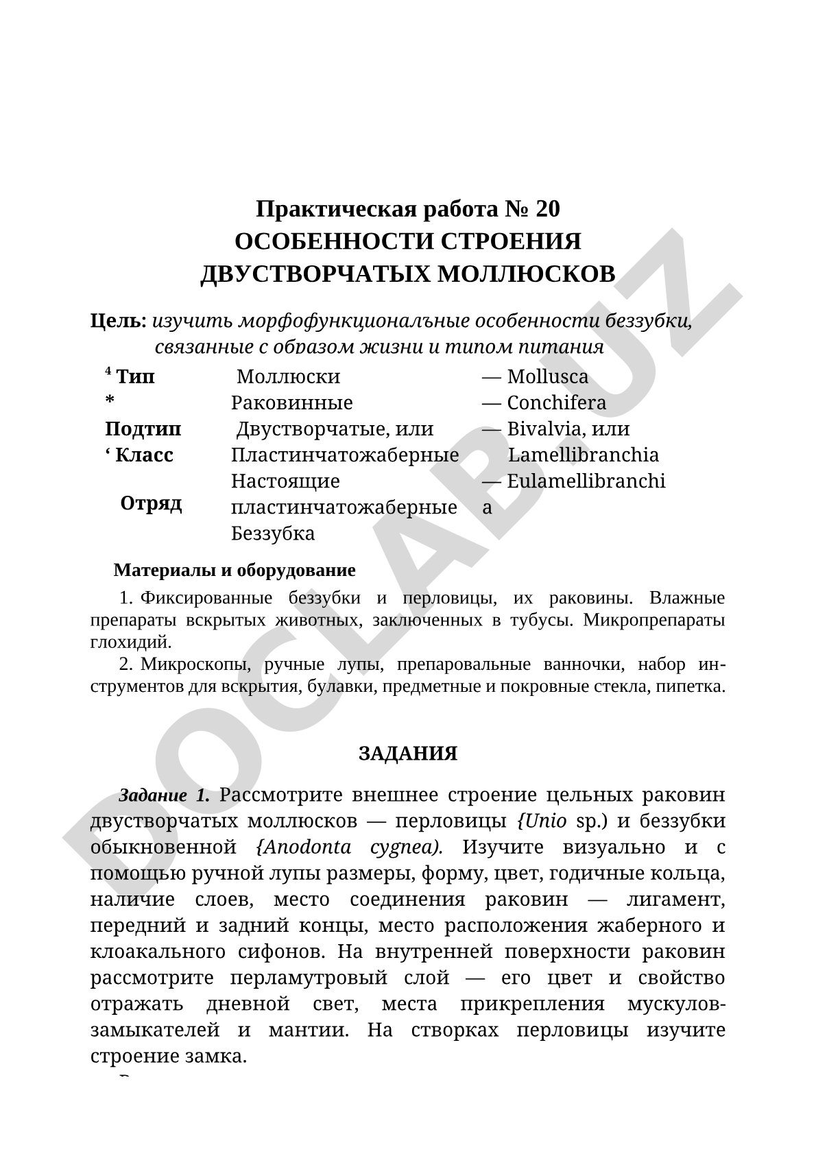 Особенности строения двустворчатых моллюсков