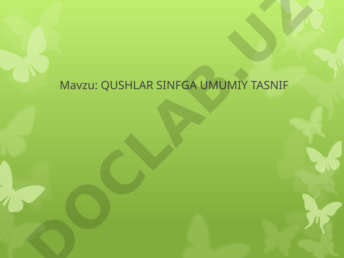 Qushlar sinfga umumiy tasnif