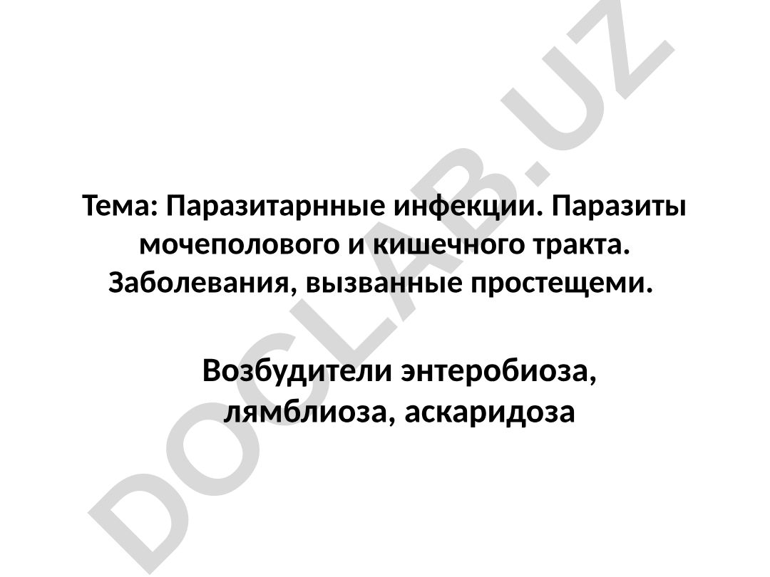 Паразитарные инфекции. Паразиты мочеполового и кишечного тракта. Заболевания, вызванные простейшими. Возбудители энтеробиоза, лямблиоза, аскаридоза