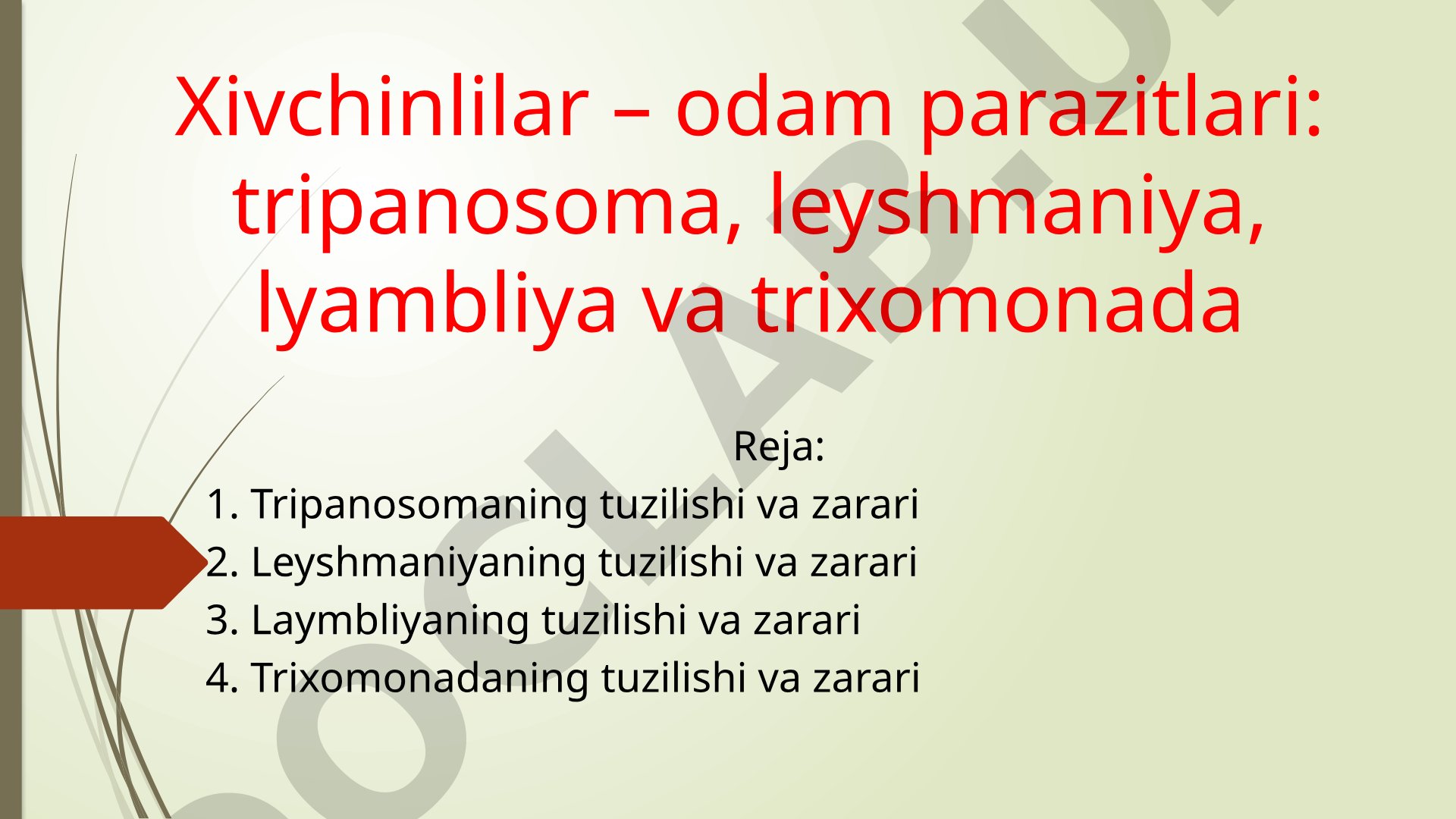 Xivchinlilar sinfi vakillari: tripanosoma, leyshmaniya, lyambliya va trixomonada