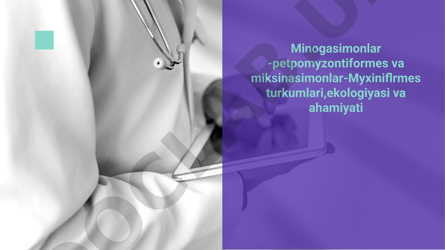 Minogasimonlar -petpomyzontiformes va miksinasimonlar-Myxiniflrmes turkumlari,ekologiyasi va ahamiyati