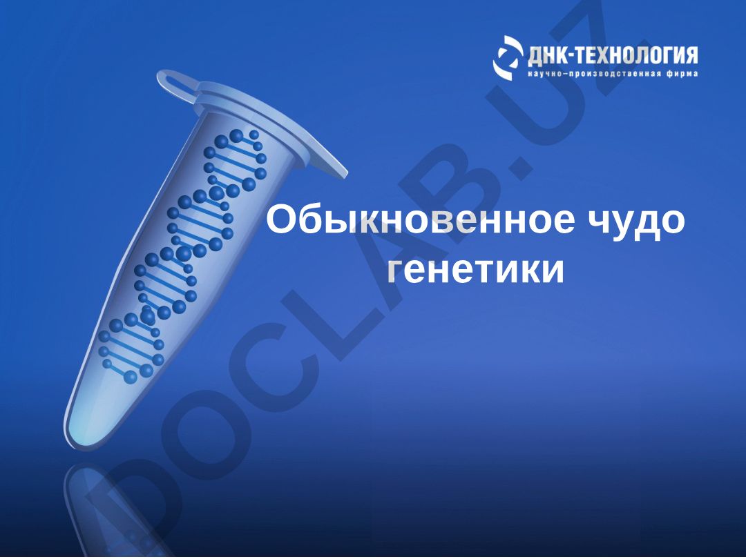 Обыкновенное чудо генетики: наследственная информация и генетический код