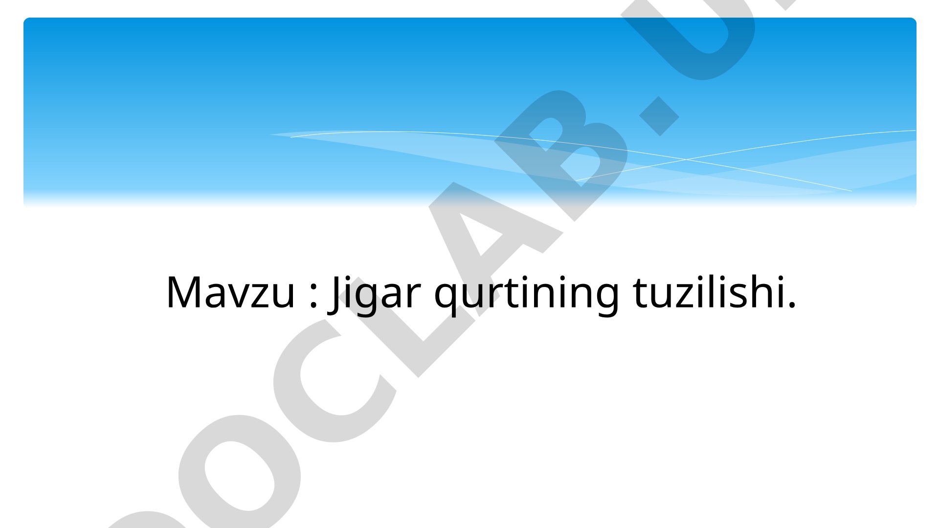 Jigar qurtining tuzilishi