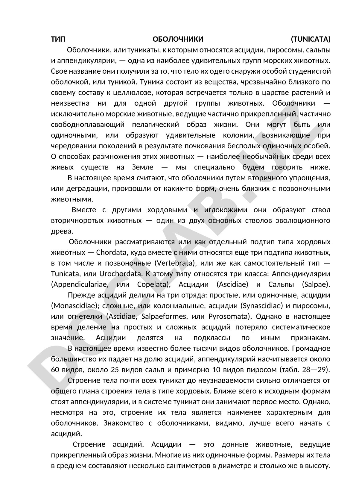 Тип оболочники (Туниката)