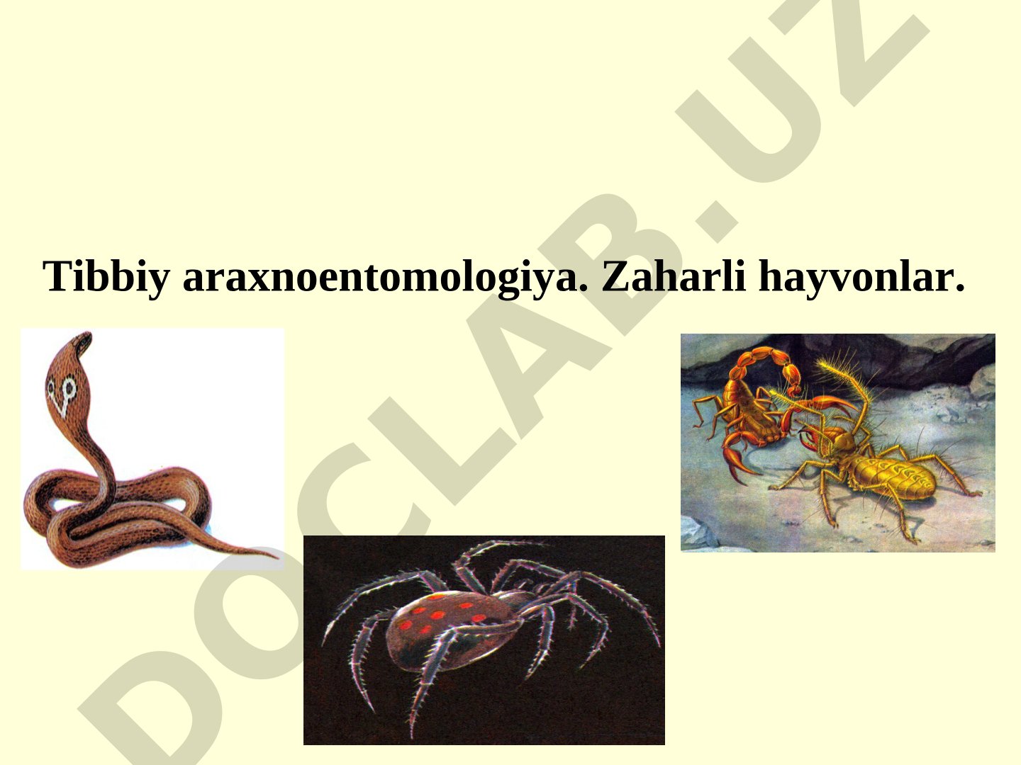 Tibbiy araxnoentomologiya: Zaharli hayvonlar va tabiiy-manbali kasalliklar