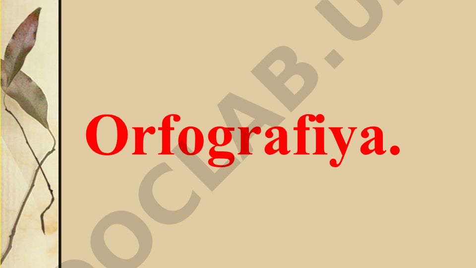 O'zbek tilida orfografiya tamoyillari