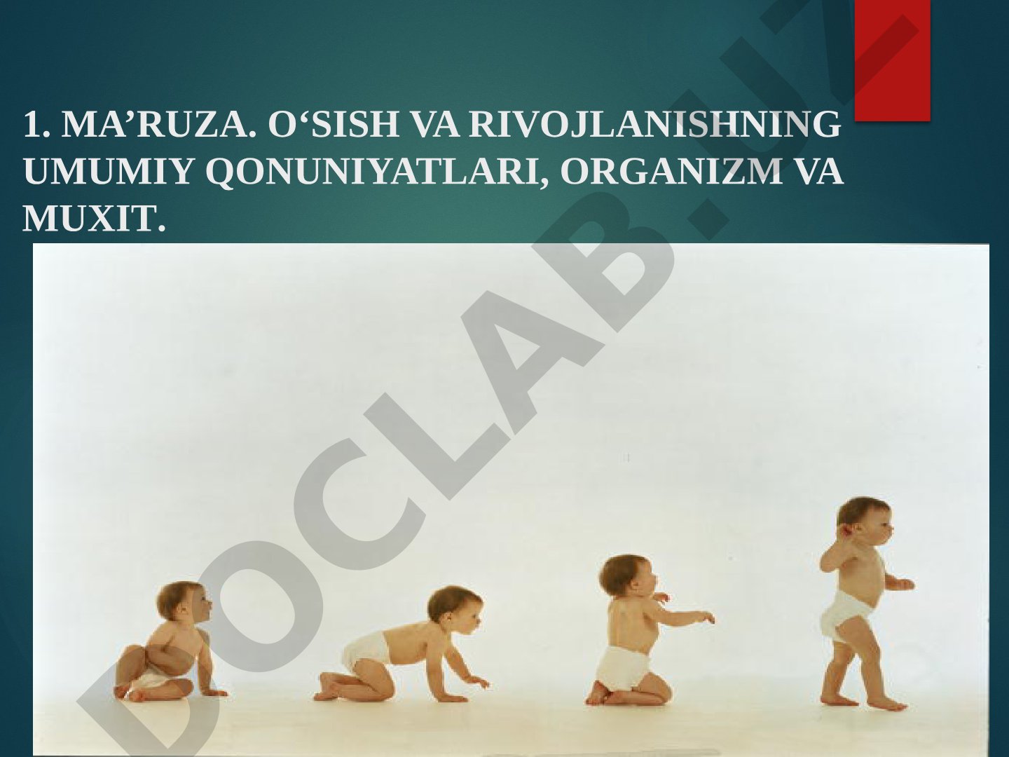 O'sish va rivojlanishning umumiy qonuniyatlari, organizm va muhit