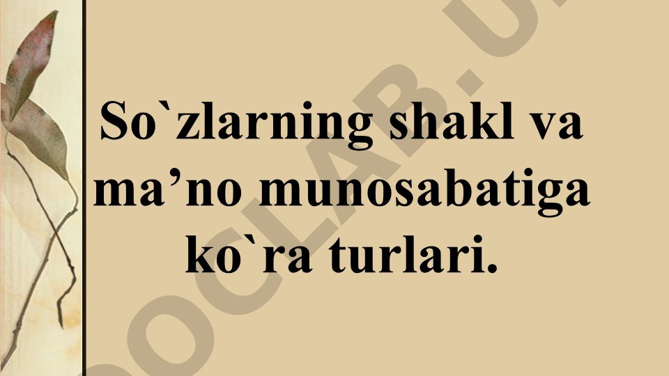 So'zlarning shakl va ma'no munosabatiga ko'ra turlari