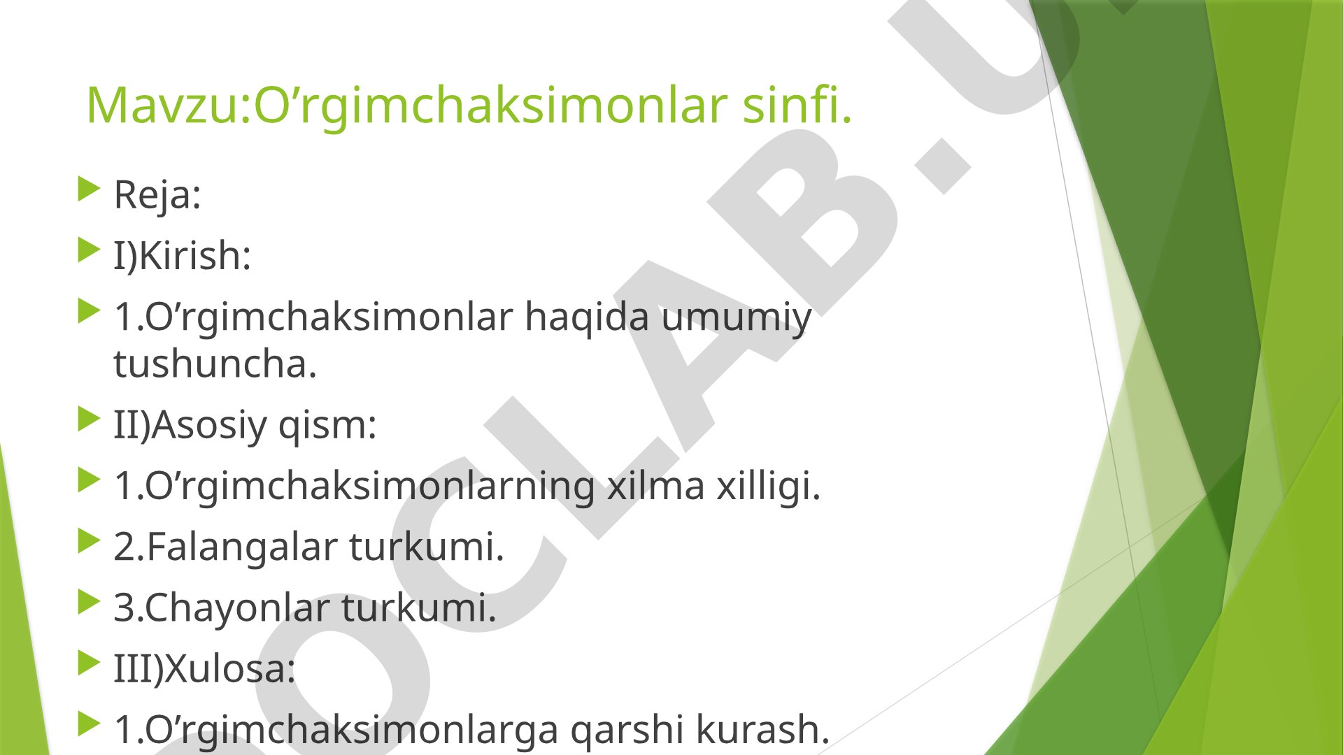 O'rgimchaksimonlar sinfi haqida umumiy ma'lumot, xilma-xilligi, falangalar va chayonlar