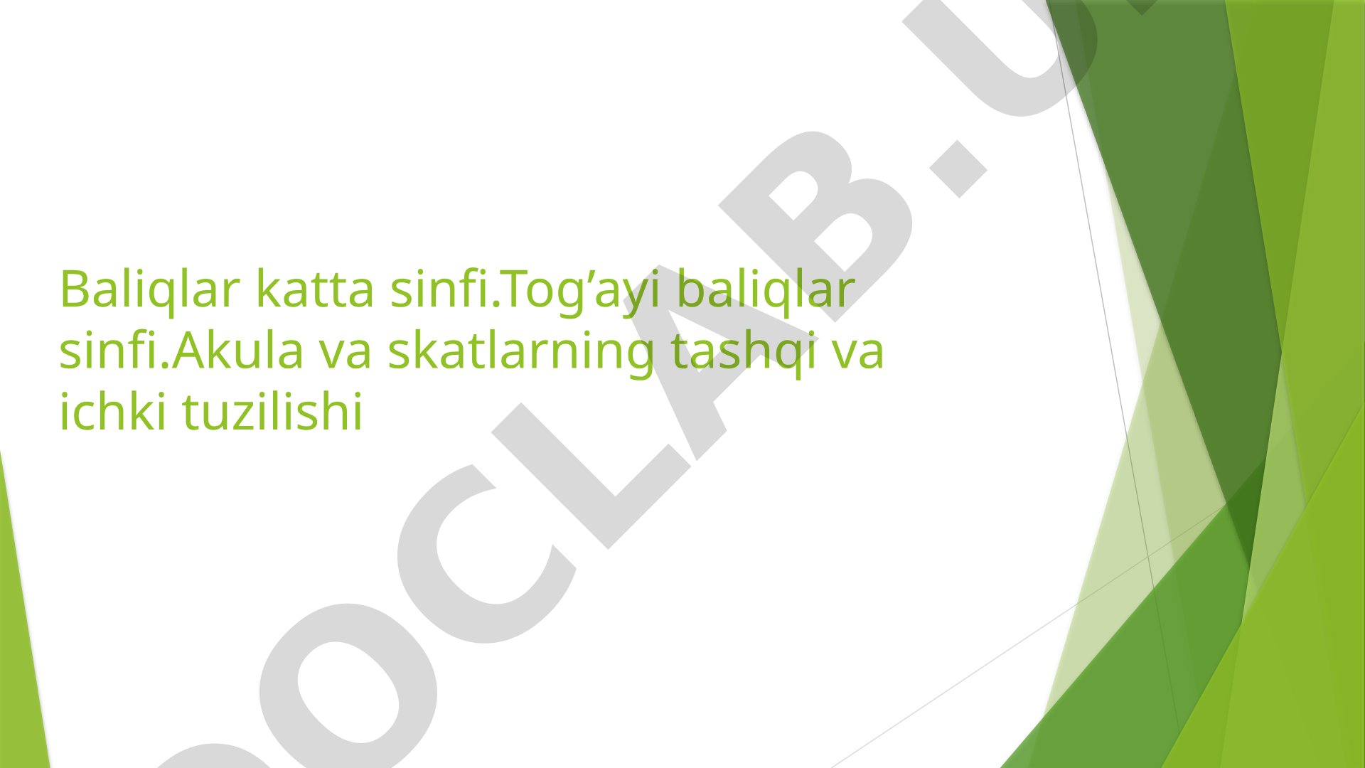 Akula va skatlarning tashqi va ichki tuzilishi