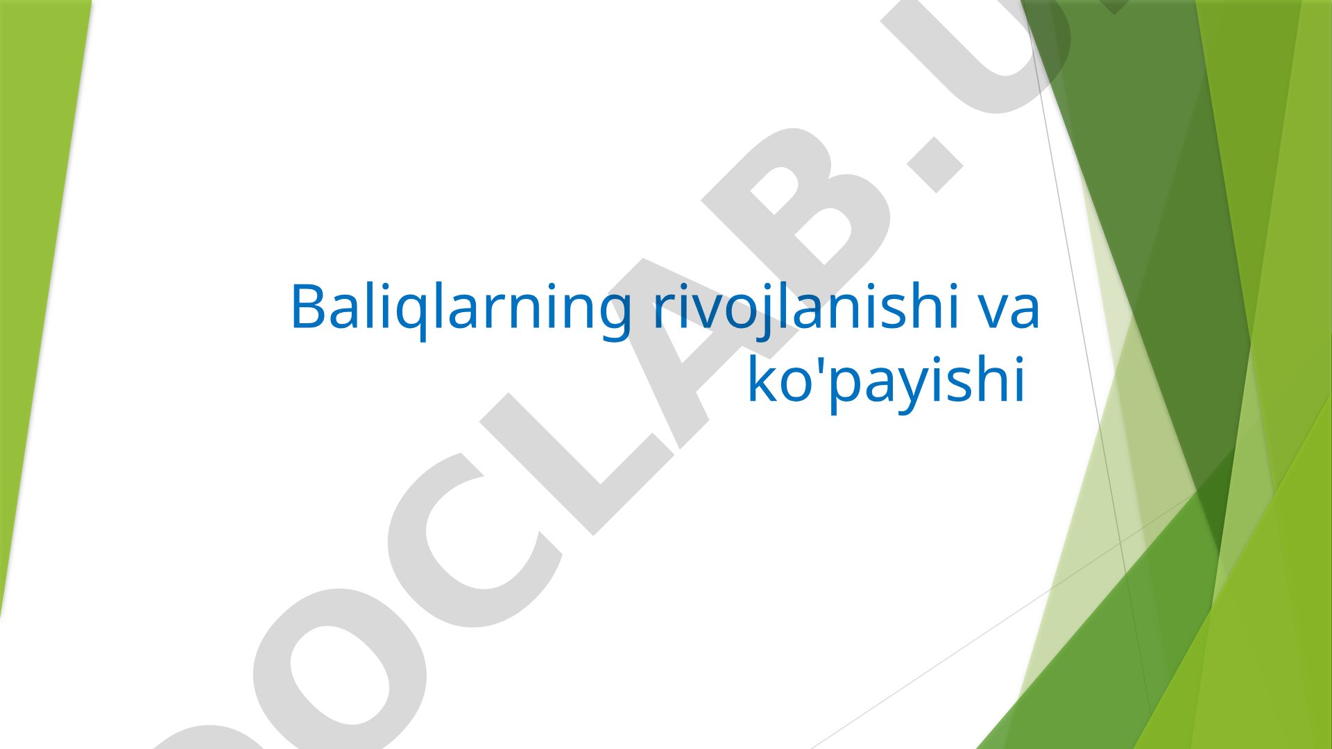 Baliqlarning rivojlanishi va ko'payishi