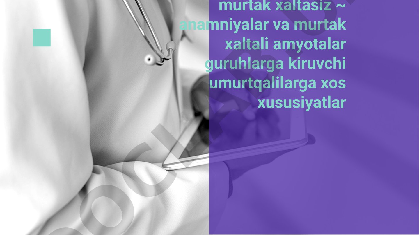 Murtak xaltasiz anamniyalar va murtak xaltali amyotalar guruhlarga kiruvchi umurtqalilarga xos xususiyatlar