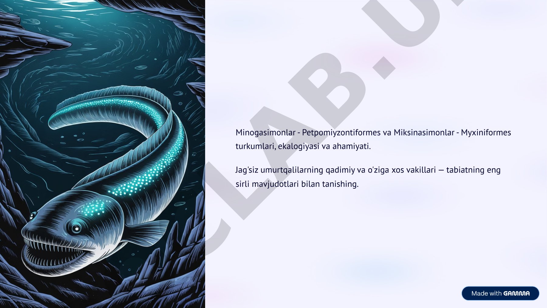 Minogasimonlar - Petpomiyzontiformes va Miksinasimonlar - Myxiniformes turkumlari, ekalogiyasi va ahamiyati