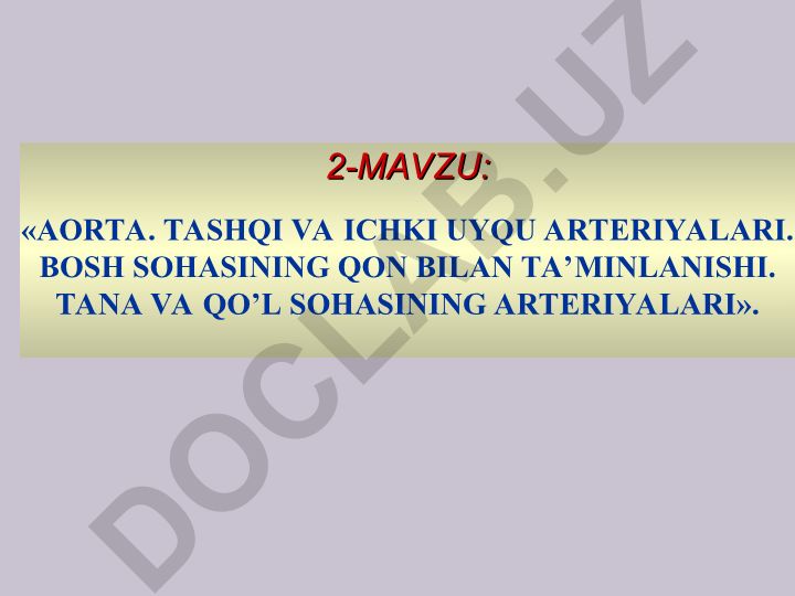 Aorta va arteriyalar tizimi: tashqi va ichki uyqu arteriyalari, bosh, tana va qo'l sohalarining qon bilan ta'minlanishi