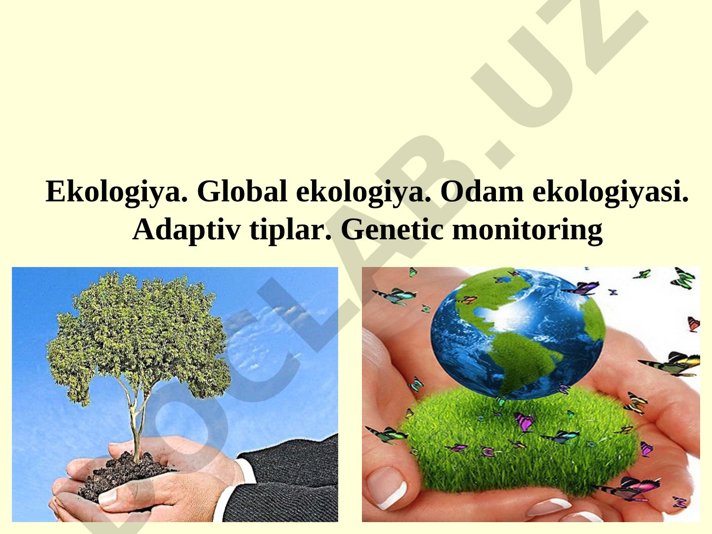 Global ekologiya, odam ekologiyasi va adaptiv tiplar