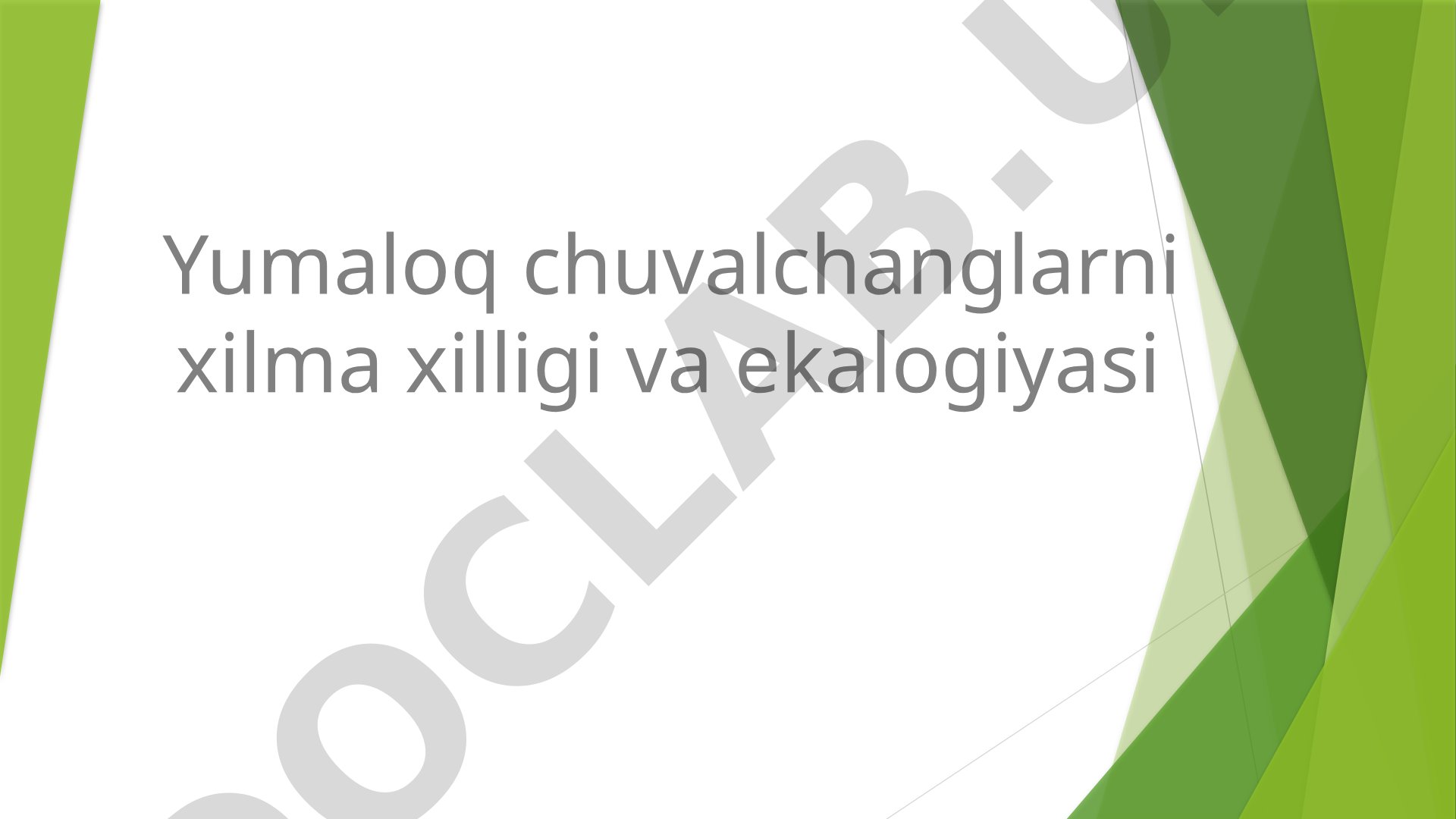 Yumaloq chuvalchanglarni xilma xilligi va ekalogiyasi