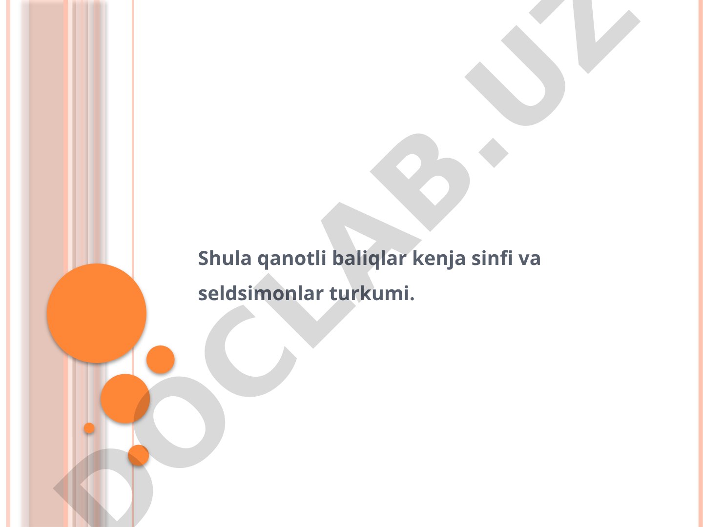 Shu’laqanotli baliqlar kenja sinfi tasnifi
