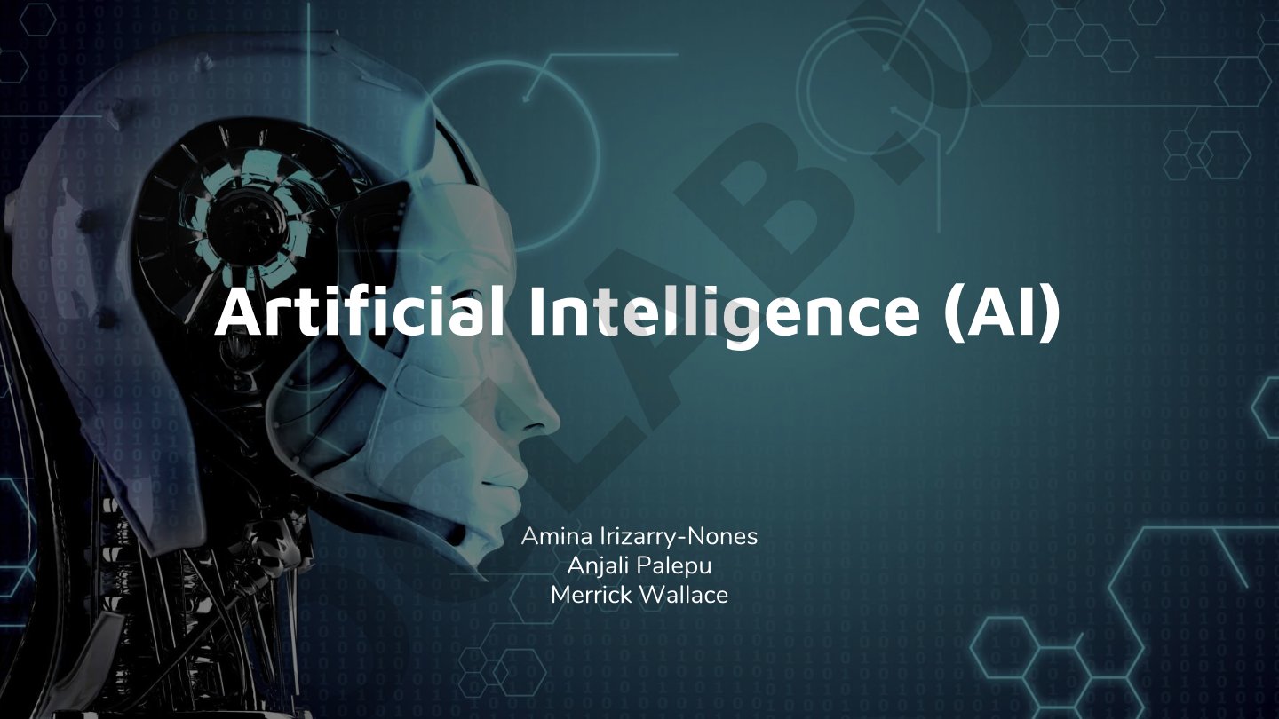 Artificial Intelligence Overview