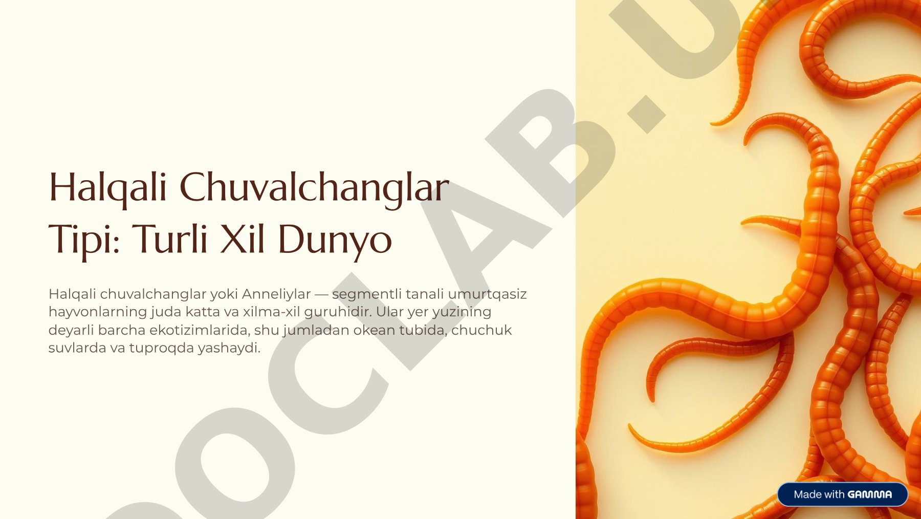 Halqali chuvalchanglar tipi: Turli xil dunyo