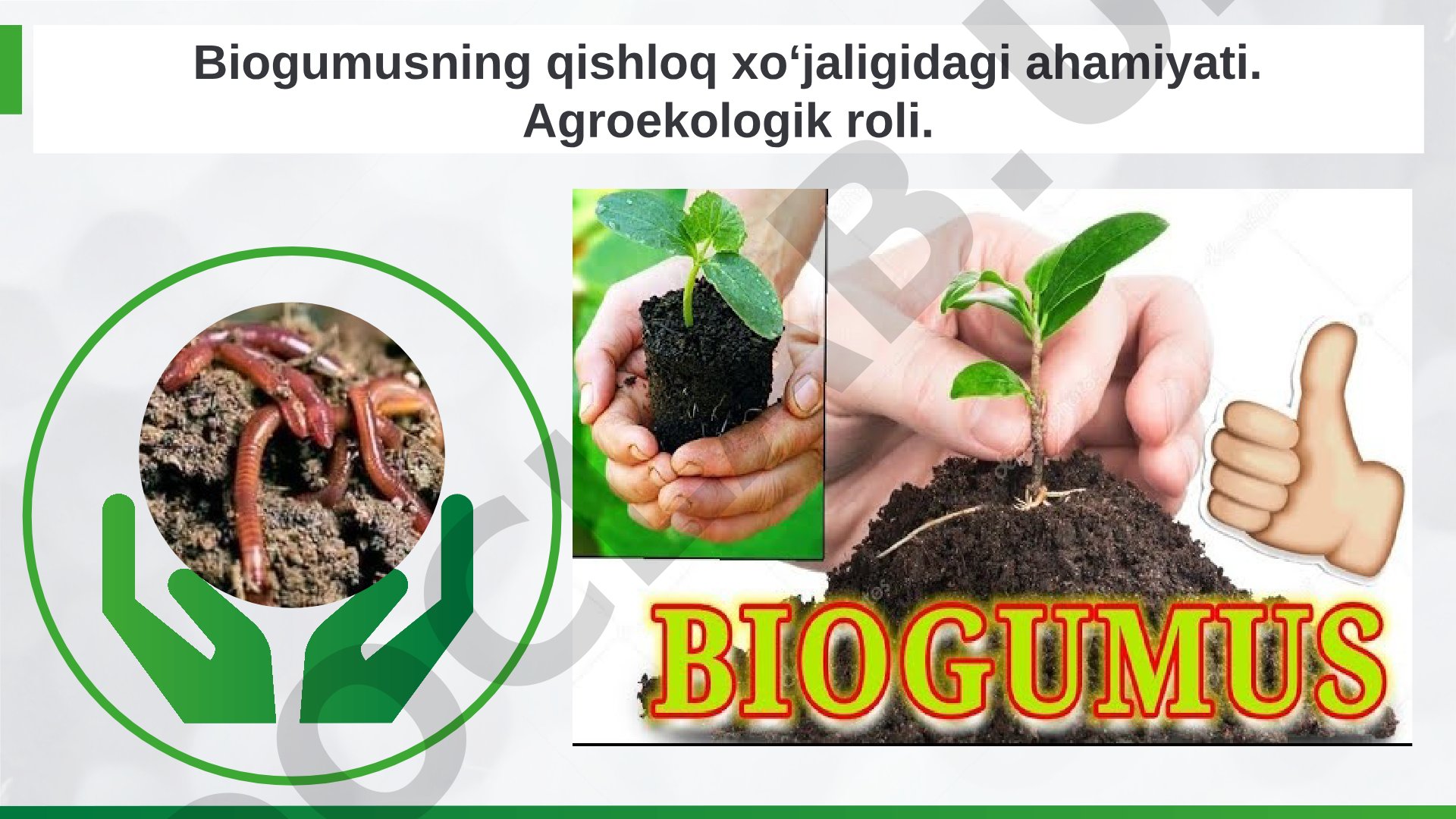 Biogumusning qishloq xoʻjaligidagi ahamiyati