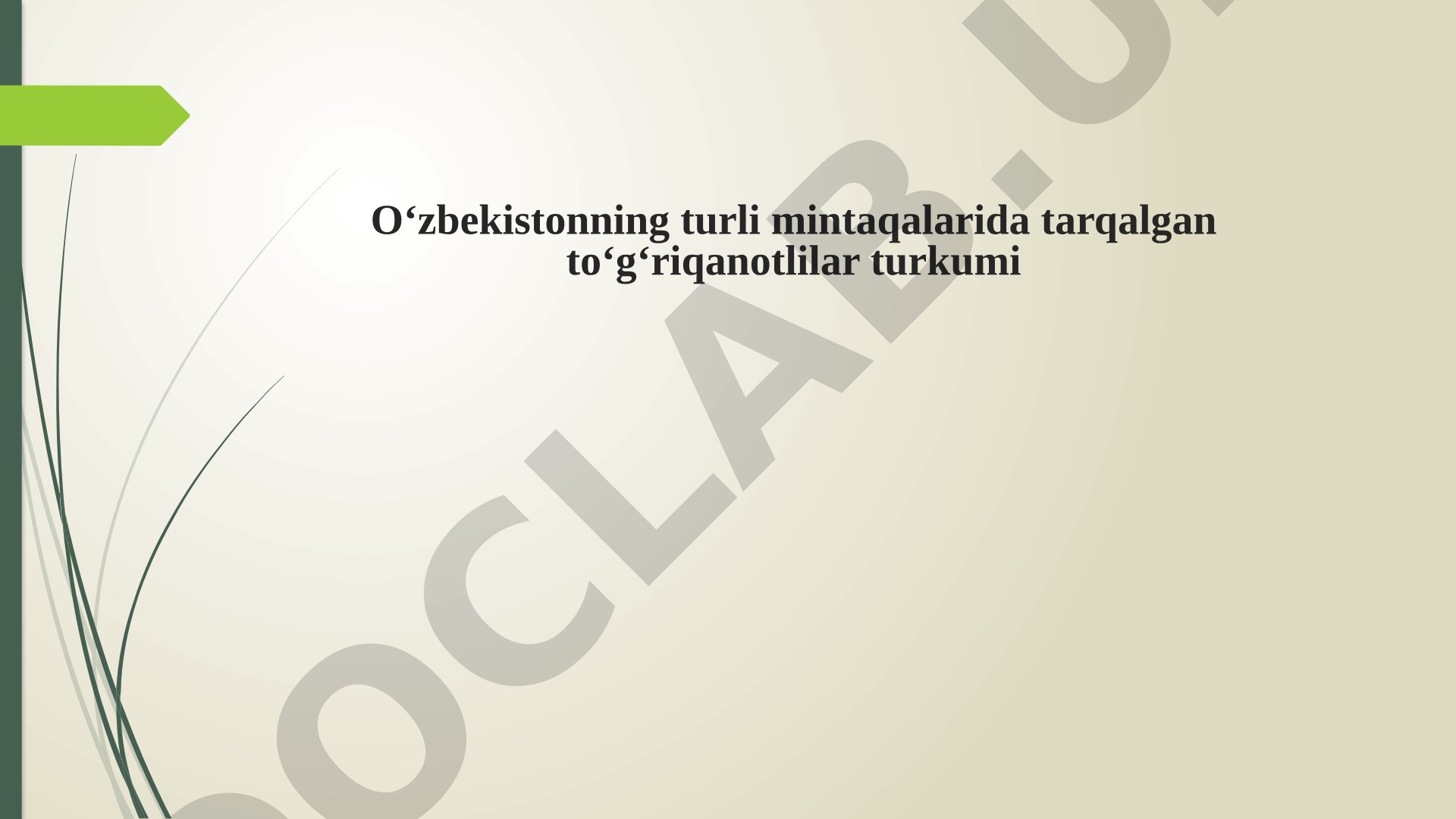 Oʻzbekistonning turli mintaqalarida tarqalgan toʻgʻriqanotlilar turkumi
