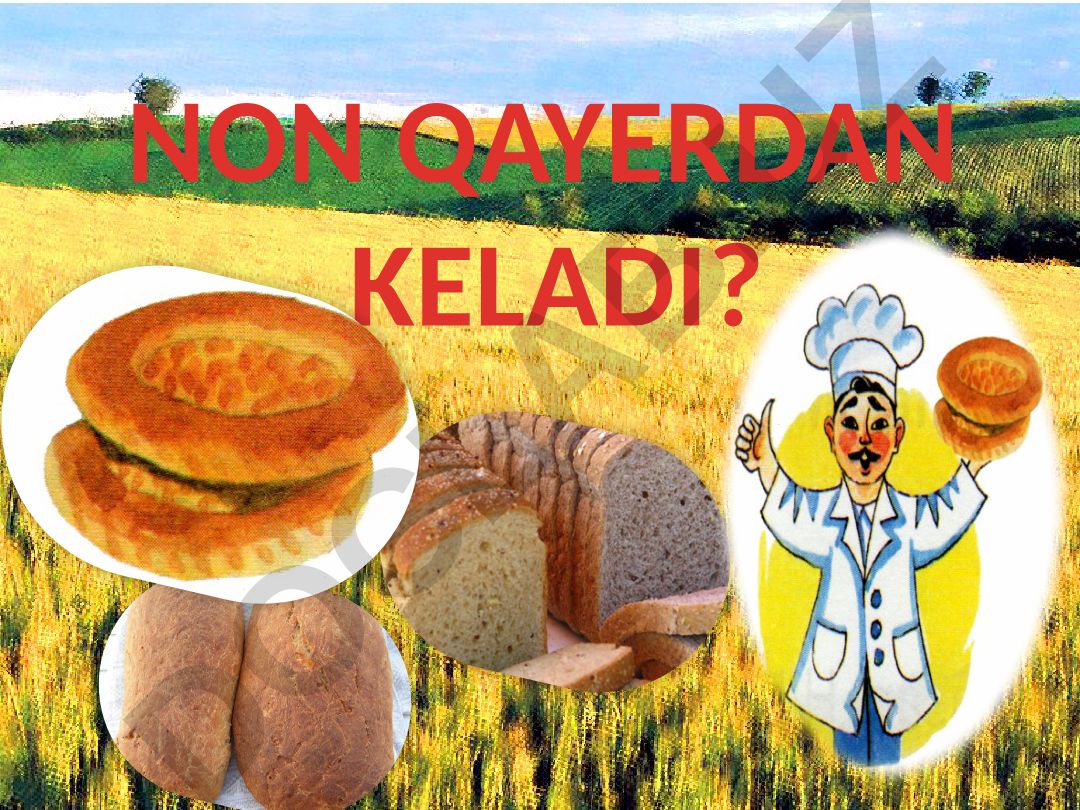 Qambar O'tayevning «Non qayerdan keladi?» she'ri asosida nonni qadrlash darsi