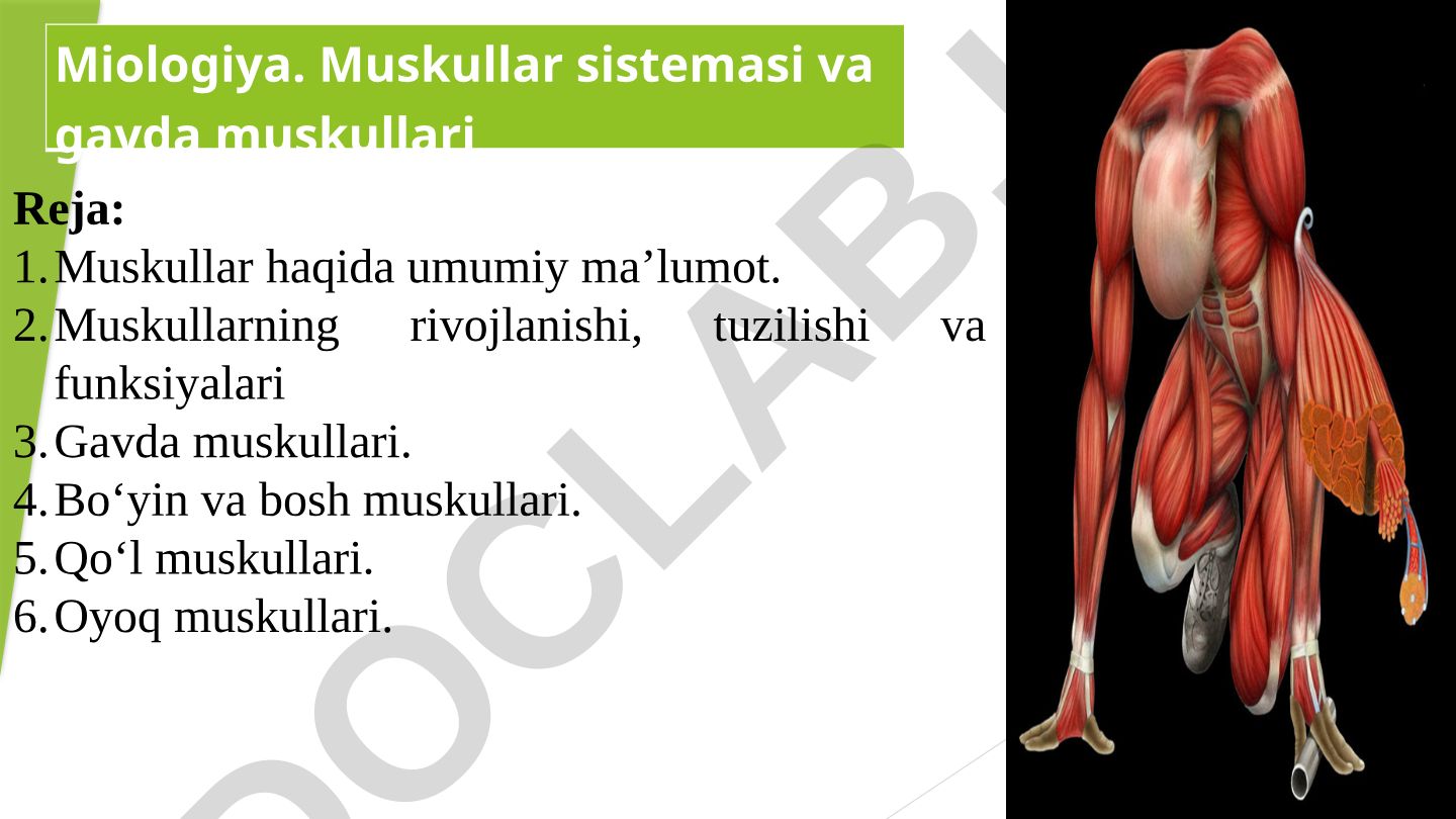 Muskullar haqida umumiy ma'lumot