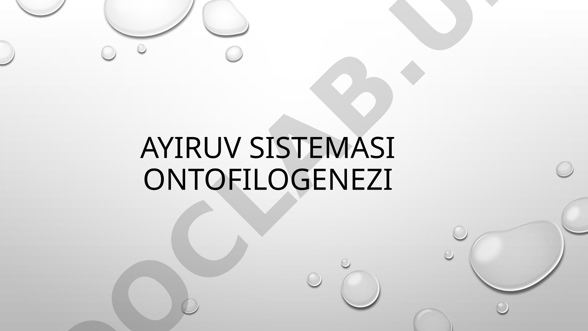 Ayiruv sistemasi ontofilogenezi va buyrak funksiyalari