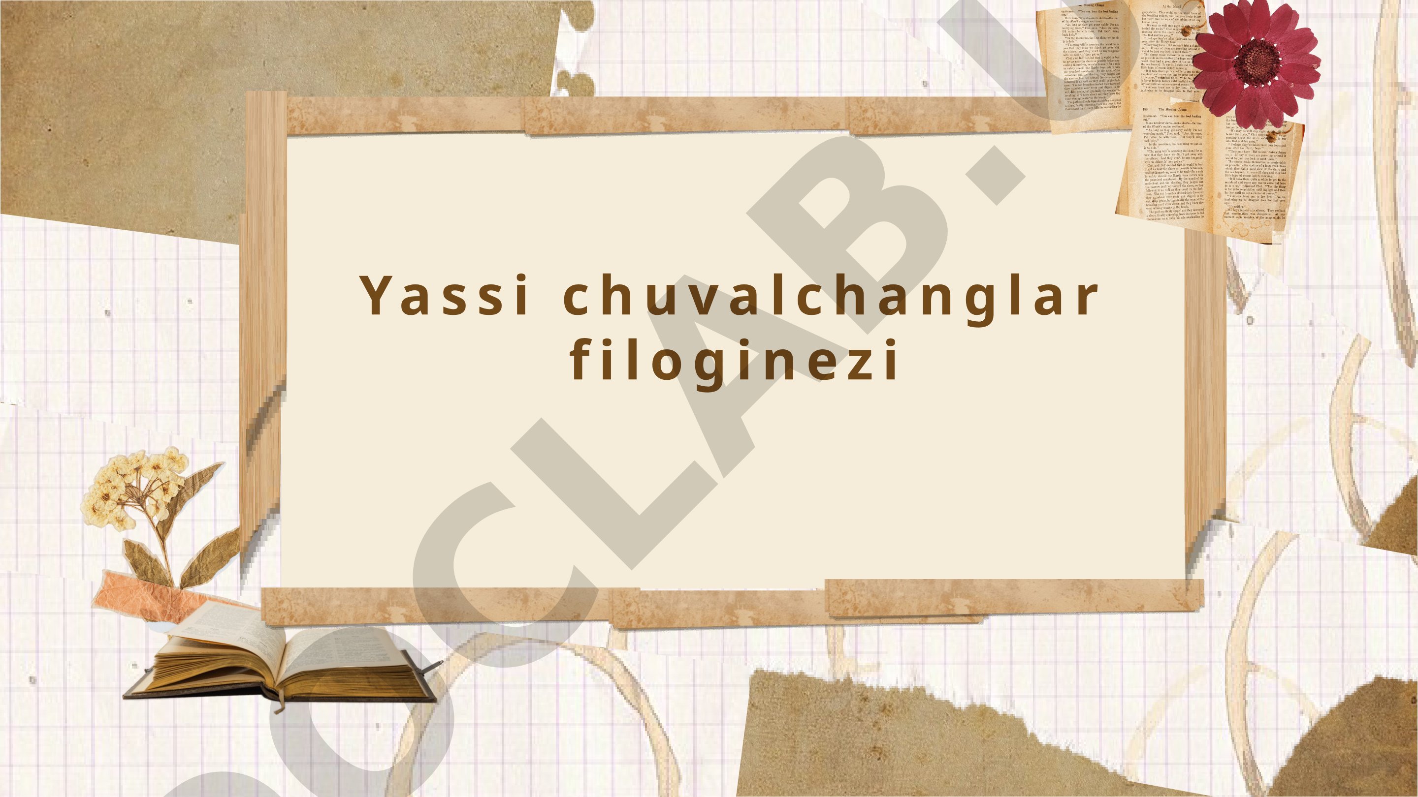 Yassi Chuvalchanglar Filogenezi: Evolyutsion Asoslar
