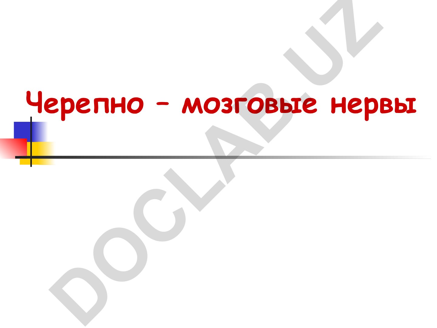 Черепно-мозговые нервы: классификация и анатомия