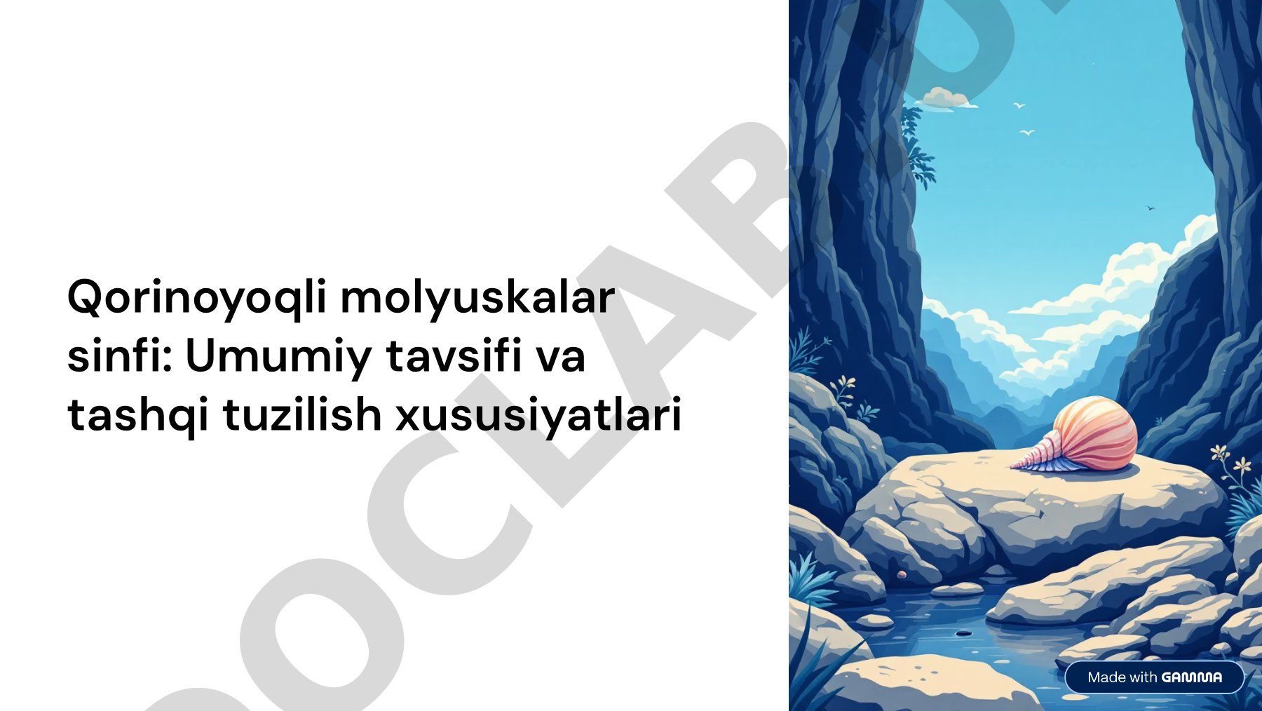 Qorinoyoqli molyuskalar sinfi: Umumiy tavsifi va tashqi tuzilish xususiyatlari