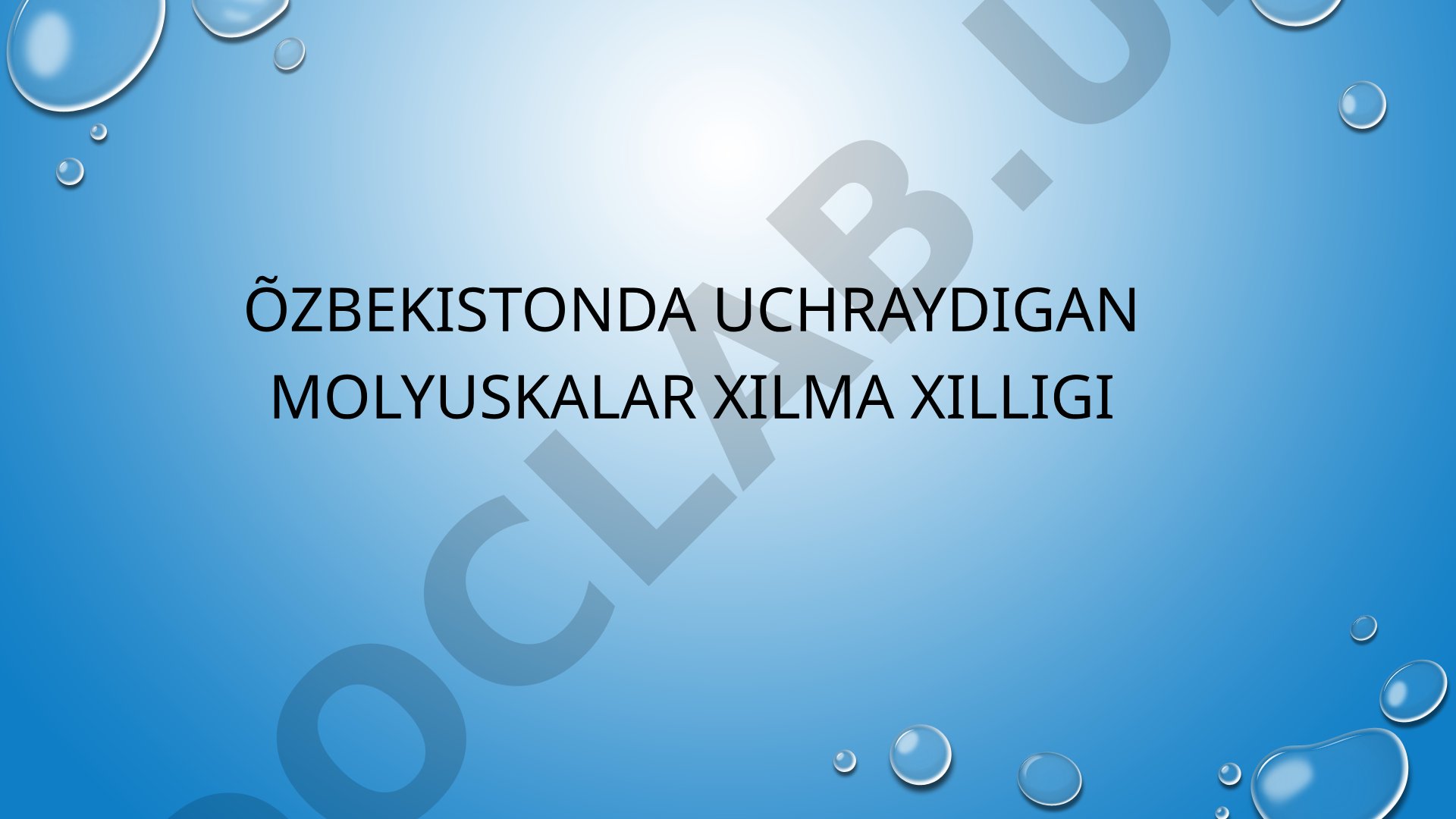 O'zbekistonda uchraydigan mollyuskalar xilma-xilligi