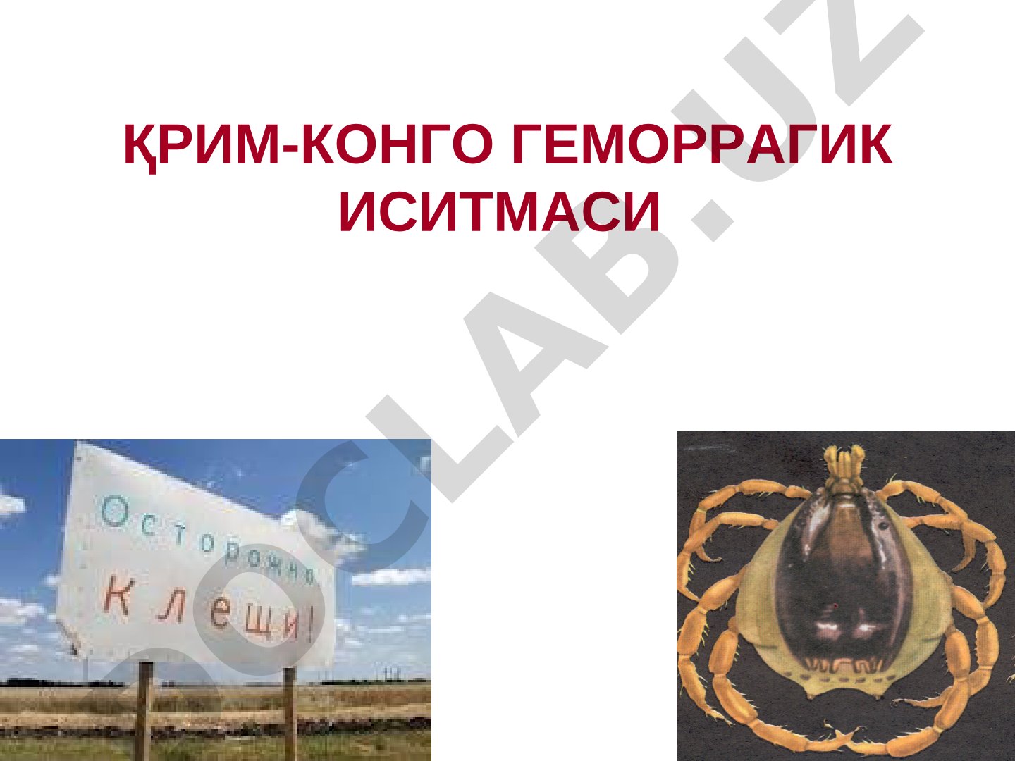 Қрим-Конго геморрагик иситмаси эпидемиологияси ва статистик кўрсаткичлари