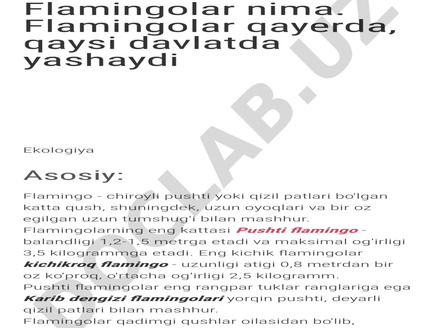E'tiboringiz uchun raxmat