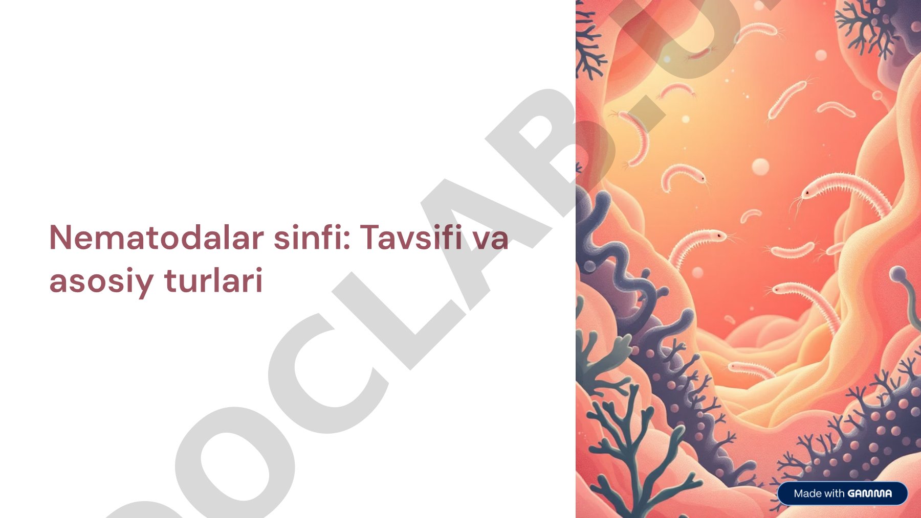 Nematodalar sinfi: Tavsifi va asosiy turlari