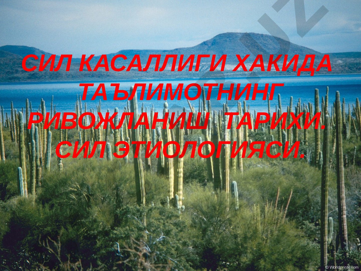 Сил касаллиги хакида таълимотнинг ривожланиш тарихи. Сил этиологияси.