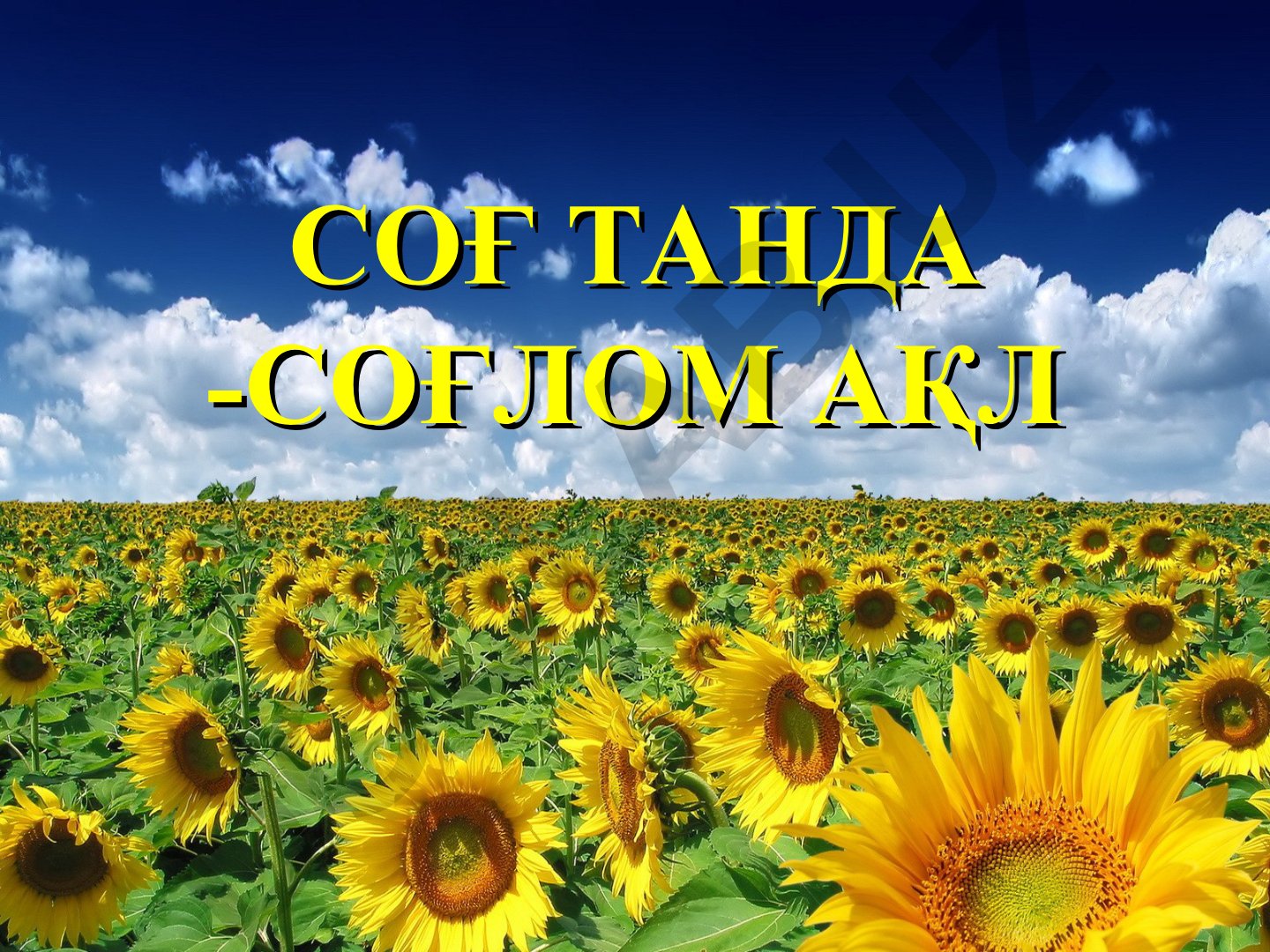 Соғлом турмуш тарзи ва саломатликни сақлаш