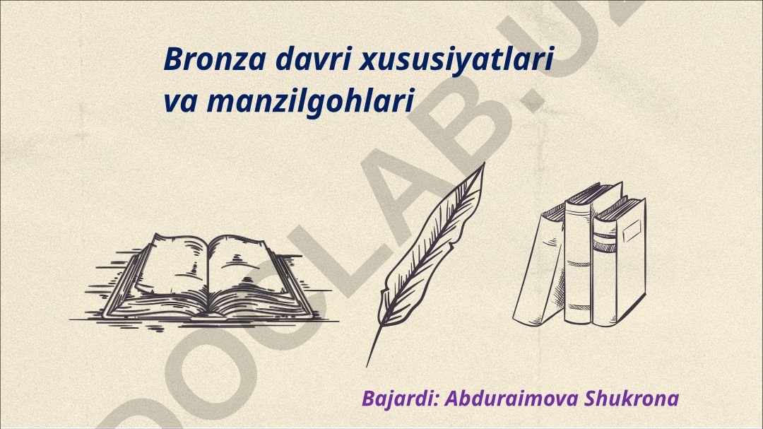 Bronza davri xususiyatlari va manzilgohlari