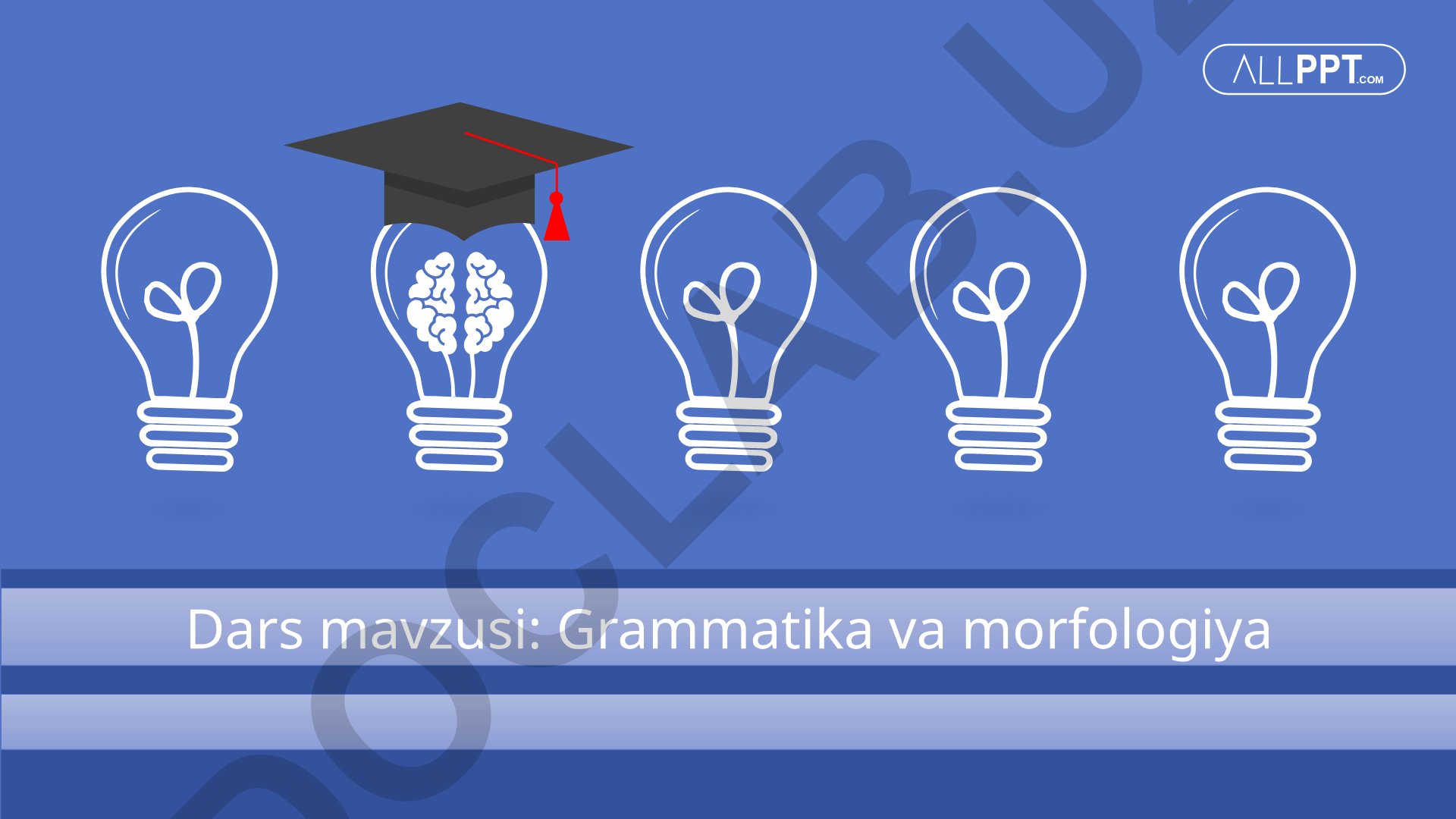 Grammatika va morfologiya