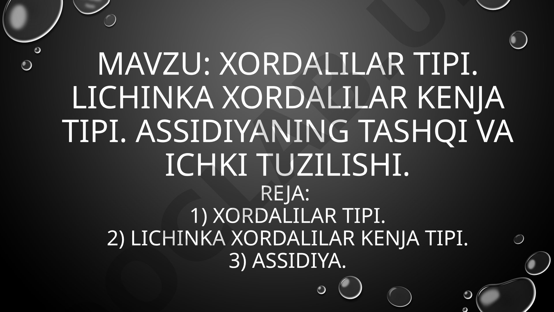 Xordalilar tipi. Lichinka xordalilar kenja tipi. Assidiyaning tashqi va ichki tuzilishi.